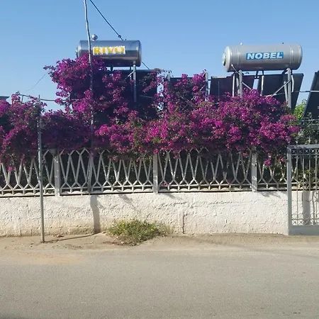 Vila Beja Jonian Perla * Dhërmi